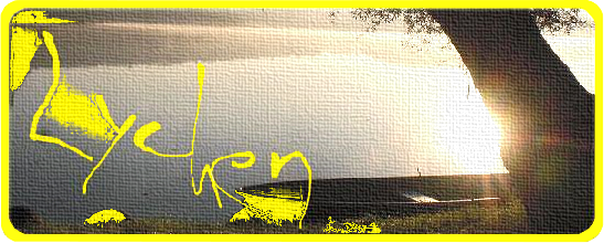 Boot am See